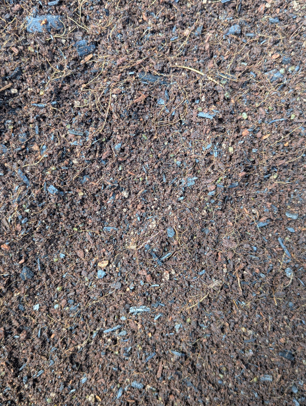 Compost Cube Multi-Purpose Compost