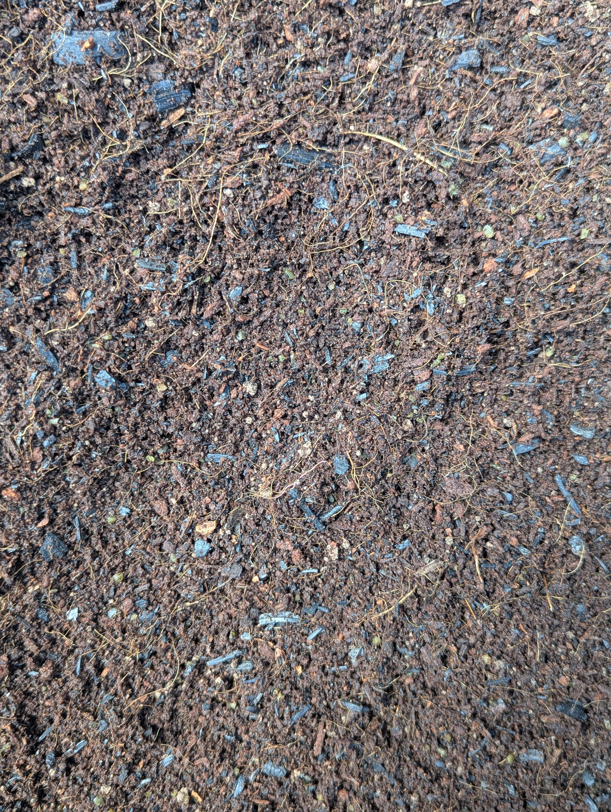 Compost Cube Multi-Purpose Compost